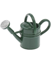 Arrosoir miniature vert - Rico Design Bois