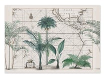 Affiche 50 x 70 cm -  South sea palm cove - Andrea Haase