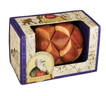 Casse-tête - darwin œuf