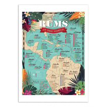 Affiche 30x40 cm - Best rums in the world - Frog Posters