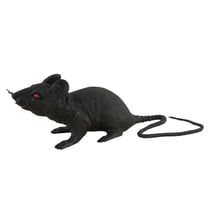 Rat - noir