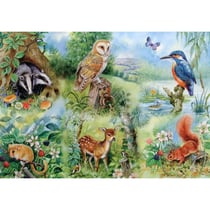 Puzzle 250 pièces - Pièces XXL - Etude Naturelle - HOP - House of Puzzles