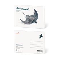 CARTE POSTALE RAIE LEOPARD