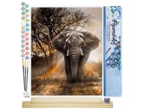 Peinture par Numéro Figured'Art - Eléphant solitaire - Kit de Loisir Créatif DIY Numéro d'Art Complet - 40x50cm toile roulée + châssis en bois à monter