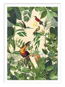 Affiche 50 x 70 cm -  Tropical Jungle Toucan Vertical Version - Andrea Haase