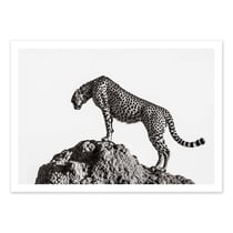 Affiche 30x40 cm - The hunter - 1x