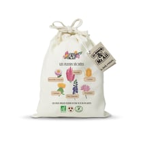 Kit de graines bio - Les fleurs séchées