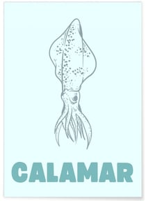 Affiche Calamar | A3 : 29,7x42cm