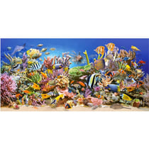 Puzzle monde sous marin : poissons - raie 4000 pièces - collection mer et océan