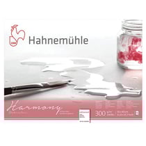 Bloc aquarelle Harmony 300g/m2 12feuilles grain fin 30x40cm - Hahnemühle