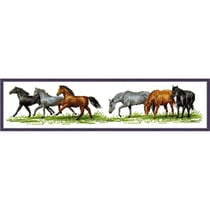 Kit à broder point de croix frise Les chevaux