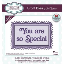 Matrices de découpe - You are so special - 2 dies - Creative Expressions