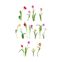 Sticker mural tulipes colorées 70 x 20 cm