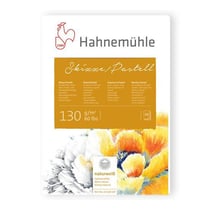 Bloc - Papier pour pastel - A2 - 42x59,4cm - 30 feuilles - Sans acide - Hahnemühle