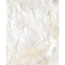 Plumes blanches 12 cm - Artemio