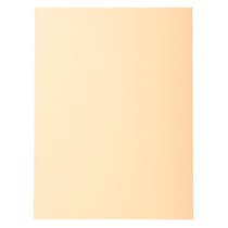 Paquet de 100 chemises Forever® 220 100% recyclé - 24x32cm - Bulle - x 5 - Exacompta