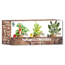 Kit Mini Fruitiers Fraise Myrtille Citronnier – Nopalia