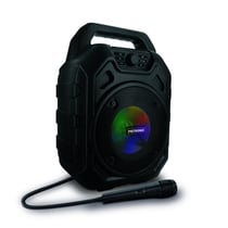 Enceinte Mini High Power avec micro - noire