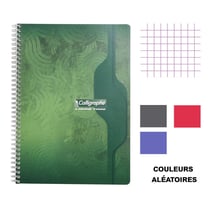 Cahier - A4 (21x29,7cm) - Petits carreaux - 100 pages - couverture en carton - à spirale - Clairefontaine - Calligraphe