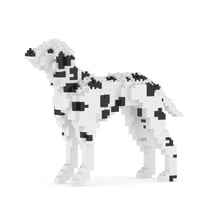 Chien Dalmatien taches noires Taille standard | JEKCA | 14 ans et +