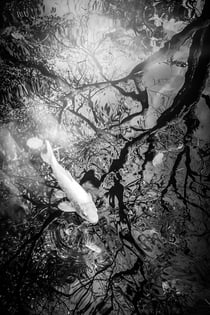 Tirage photo 40 × 60 cm – Papier – Miroir mon beau miroir – par Marion Staderoli