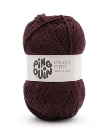 Pingo First