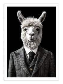 Affiche 50 x 70 cm -  Alpaca Wild Suits - Philippe Hugonnard