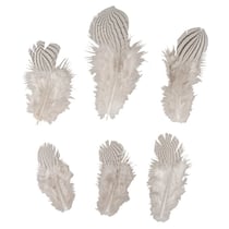 Plume déco Motif de zèbre, 8-12cm, 6pces