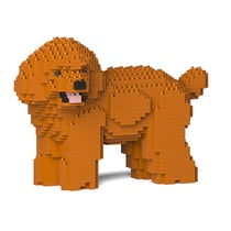 Chien Caniche Nain qui tourne la tête roux Taille standard | JEKCA | 14 ans et +