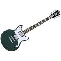 Premier Brighton Sherwood Green D'Angelico