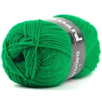 Plassard - Laine Plassard Gagnante 928 Vert Becasine