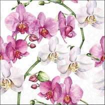Lot de 4 serviettes en papier découpage collage 33 cm ORCHIDEE FOND BLANC F 152