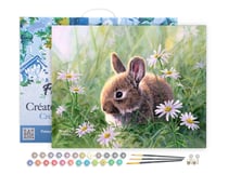 Peinture par Numéro Figured'Art avec Cadre - Lapin et marguerites - Kit de Loisir Créatif DIY Numéro d'Art - 40x50cm toile tendue sur châssis