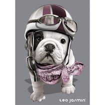 Puzzle chien teo jasmin 1000 pieces - collection photo d'art - nathan - 87551