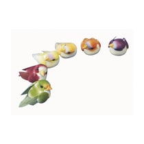 Petit oiseau, 6 couleurs assorties, 1,5 cm, 6 pièces