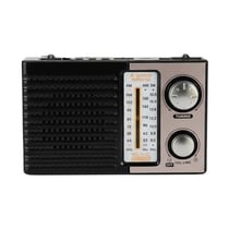 Avizar Radio Portable Multi-bandes AM / FM / SW Rechargeable et Compact Noir / Or