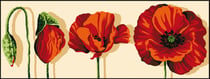 Canevas Pénélope Antique Croissance 25x60cm