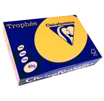 Ramette de 500 Feuilles de Papier 80g A4 210x297 mm Certifié FSC Bouton d'Or CLAIREFONTAINE