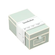 Semikolon 364116 Boîte à cartes de visite - répertoire alphabétique - 10,5 x 18 x 8,3 cm - boîte à cartes de visite - vert pastel mousse