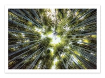 Affiche 50 x 70 cm -  Into the grove - Manjik Pictures