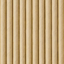 10 Pailles Kraft
