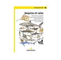 Miniguide 115 - Requins et Raies