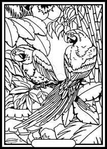 Tableau velours a colorier 2 Perroquets Sericolor