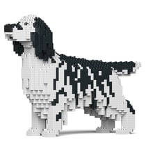 Chien Setter Anglais taches noires Taille standard | JEKCA | 14 ans et +