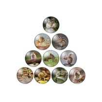 10 cabochons rond en verre assorties 25 mm ECUREUIL