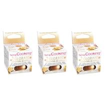 Colorant alimentaire de surface en poudre doré 15 g