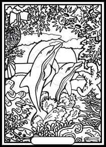 Tableau velours a colorier Dauphins leader Sericolor