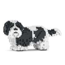 Chien Shih Tzu taches noires Taille standard | JEKCA | 14 ans et +