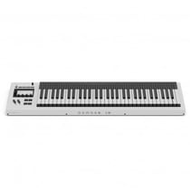Expressive E Osmose 49 CE - Clavier maître MIDI USB MPE - 49 touches - Noir