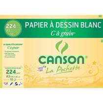 Canson - Papier à dessin - A3 - 29,7 x 42 cm - Blanc - 224g - 10 feuilles